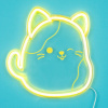 Ses Squishmallows FIZZ Neónové svetlo - Kocúr Cam
