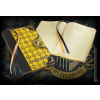 Noble Collection zápisník Harry Potter Mrzimorský deník B5