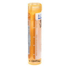 Arsenicum Iodatum gra.1 x 4 g 15CH