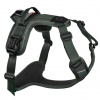 Non-stop Dogwear Postroj Ramble