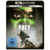 Prey (2022) (Ultra HD Blu-ray & Blu-ray)