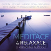 VARIOUS: MEDITACE & RELAXACE S KLASICKOU HUDBOU - interpreti Různí