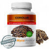 MycoMedica Coriolus 50% vysoká koncentrácia 90 kapsúl 500mg extraktu