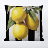 Takoy Obliečka na vankúš 45x45 nepremokavý polyester citrón v kuchyni 2-HT-00295 | 45 x 45 cm