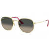 Sluneční brýle Ray-Ban Hexagonal RB3548N 001/71 se slevou 48 %