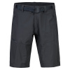 Hannah Doug anthracite II
