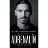 Zlatan Ibrahimovič – Adrenalín – O čom som nehovoril