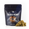 TatraHemp Amnesia Haze Nano 10 kvety (indoor) Balenie: 5g