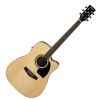 Ibanez PF15ECE NT