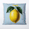 Takoy Obliečka na vankúš 45x45 nepremokavý polyester citrón v kuchyni 1-HT-00294 | 45 x 45 cm