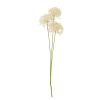 Bloomingville Umelá kvetina ALLIUM V.63,5cm biela
