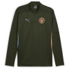 Puma Manchester City Training Top 2024 2025 Adults Khaki 2XL