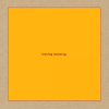 Leaving Meaning Swans Vinyl