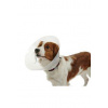 Ochranný golier BUSTER plastový Classic Collar 40cm