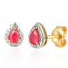 14KT zlata, Náušnice s ruby a Diamanty E69348 (14KT zlata, Náušnice s ruby a Diamanty E69348)
