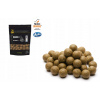 INVADER KOZÁCKE GULIČKY 24 mm - TIGRÍ ORECH 1 kg