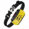 Patpet B300