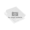 Lenovo Intel Xeon Silver 4310 - 2.1 GHz - 12 jader - 24 vláken (4XG7A63468)