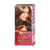 Garnier Color Sensation 6.0 Tmavá Blond farba na vlasy