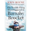 The Terrible Thing That Happened to Barnaby Brocket - John Boyne, Penguin Random House Children's UK