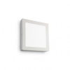 LED nástěnné a stropní svítidlo Ideal Lux Universal AP1 138640