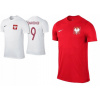 Poľský t -shirt Lewandowski 9 Nike Your Print (Futbal na nohu Puma Orbita 6 ms. 4)