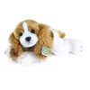 Eco-Friendly Rappa pes Cavalier King Charles spaniel ležiaci 30 cm