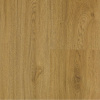 SolidCore Xciting 5.0mm click 62106 Dub Ambience kávový
