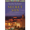 Secret Son