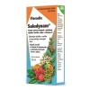 SALUS Floradix Saludynam tekutá froma 1x250 ml SALUS Haus Dr.med.Otto Greither Nachf. GmbH & Co.