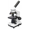 Mikroskop Levenhuk Rainbow 2L (Moonstone, CZ)