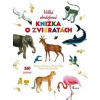 Veľká obrázková knižka o zvieratách