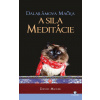 Dalajlámova mačka a sila meditácie - David Michie