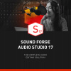MAGIX SOUND FORGE Audio Studio PL – licencia ESD