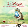 Various - Antologie moravské lidové hudby 9. [CD]