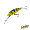 Wobler Salmo Bullhead BD6SDR