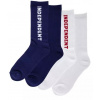 pánske ponožky INDEPENDENT BASELINE 2-PACK CREW SOCKS WHITE/NAVY 43-46