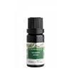 Škorica - kôra éterický olej - Nobilis Tilia Objem: 10 ml