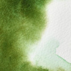 W&N professional watercolor 5ml Odtieň: perman.sap green