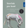 Strečink pro koně - protahovací cviky ze země