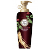 Daeng Gi Meo Ri Revitalizačný kondicionér (Vitalizing Energy Treatment) 500 ml