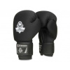 Boxerské rukavice DBX BUSHIDO DBX-B-W EverCLEAN