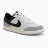 Pánske topánky Nike Air Jordan Skyline Low summit white/light smoke grey/black