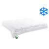 Francúzska deka Brotex Aloe Vera zimná 200 x 200 cm 1800 g