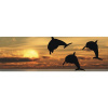Obklad do kúpeľne mySPOTTI aqua Sonnenuntergang 140x45 cm