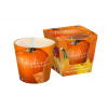 BARTEK PUMPKIN SEASON Sviečka v skle 115g