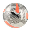 Lopta PUMA PUMA CAGE BALL 08458601 – Strieborná