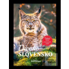 Divoké Slovensko (Dan Himič; Soňa Košíková)