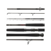 DAIWA - Prút Exceler Catfish Boje 3 m 200-600 g