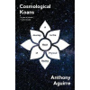 Cosmological Koans